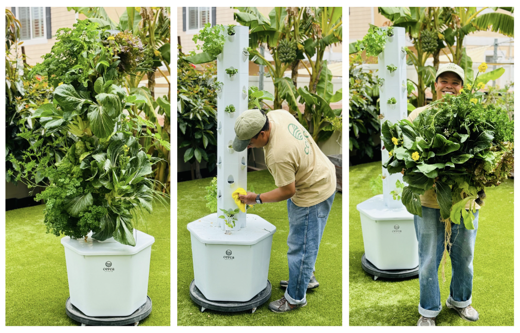 Screenshot 2024-05-24 at 9.57.43 AM